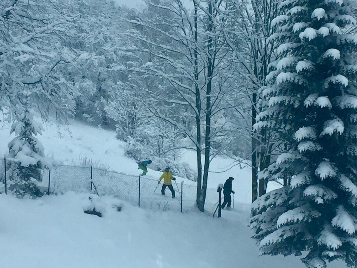 Cerla Korbielow Bagian luar foto