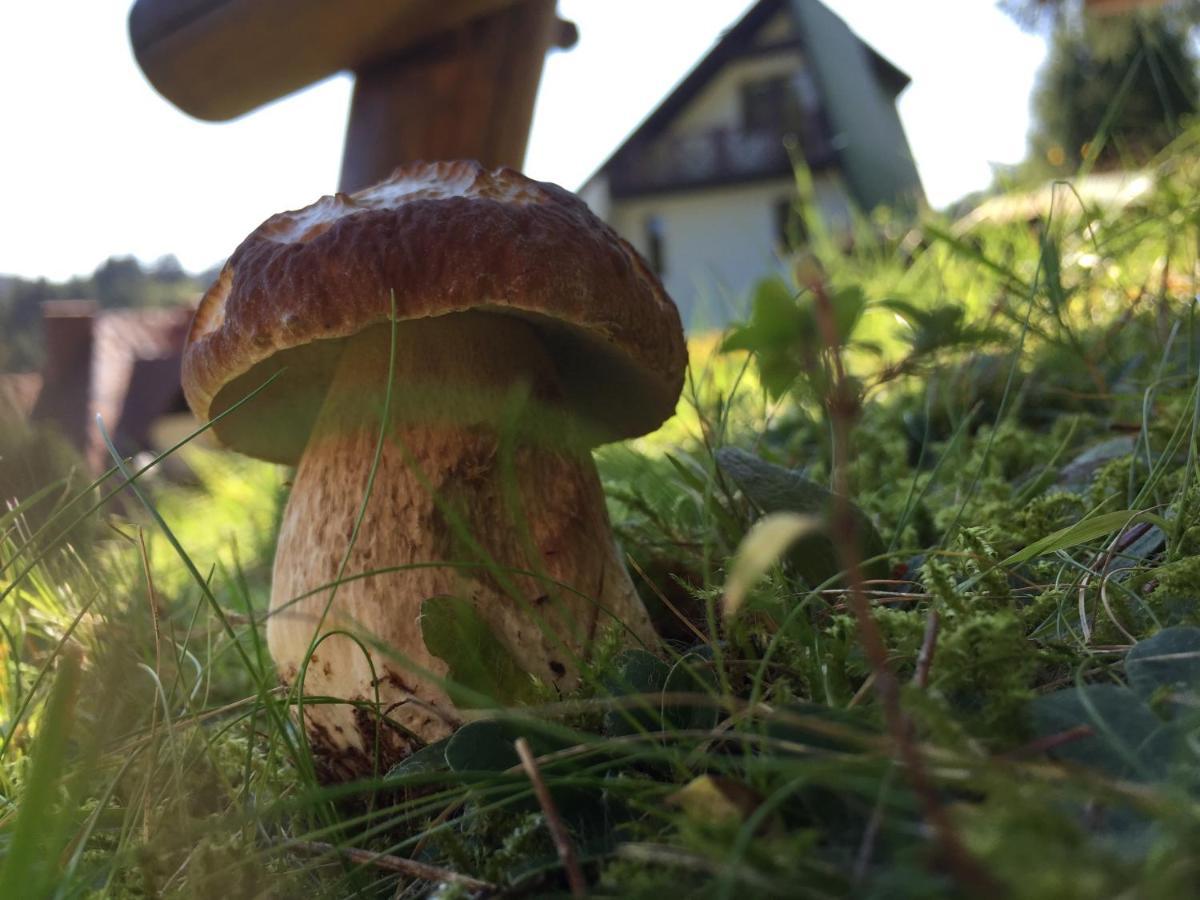 Cerla Korbielow Bagian luar foto