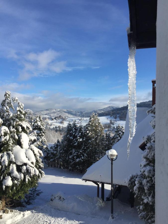 Cerla Korbielow Bagian luar foto